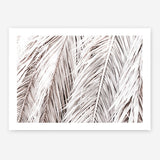 Shop Dried Palm Leaves Photo Art Print a photography wall art print from The Print Emporium wall artwork collection - Buy Australian made fine art poster and framed prints for the home and your interior decor room, TPE-701-AP