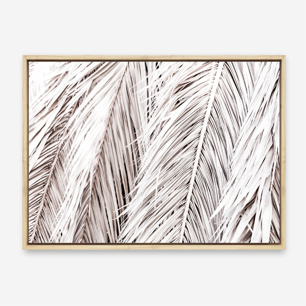 Shop Dried Palm Leaves Photo Canvas Print a photography framed stretched canvas print from The Print Emporium wall artwork collection - Buy Australian made prints for the home and your interior decor space, TPE-701-CA-35X46-NF