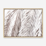 Shop Dried Palm Leaves Photo Canvas Print a photography framed stretched canvas print from The Print Emporium wall artwork collection - Buy Australian made prints for the home and your interior decor space, TPE-701-CA-35X46-NF
