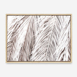 Shop Dried Palm Leaves Photo Canvas Print a photography framed stretched canvas print from The Print Emporium wall artwork collection - Buy Australian made prints for the home and your interior decor space, TPE-701-CA-35X46-NF