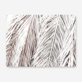 Shop Dried Palm Leaves Photo Canvas Print a photography framed stretched canvas print from The Print Emporium wall artwork collection - Buy Australian made prints for the home and your interior decor space, TPE-701-CA-35X46-NF