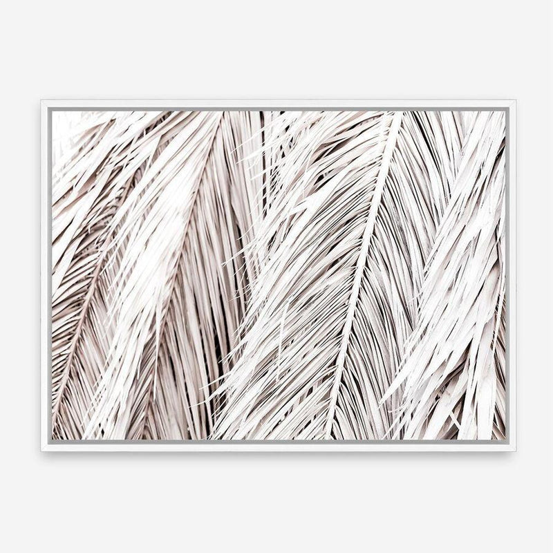Shop Dried Palm Leaves Photo Canvas Print a photography framed stretched canvas print from The Print Emporium wall artwork collection - Buy Australian made prints for the home and your interior decor space, TPE-701-CA-35X46-NF
