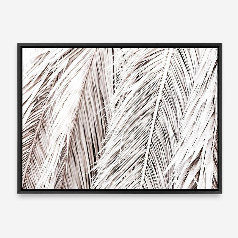 Shop Dried Palm Leaves Photo Canvas Print a photography framed stretched canvas print from The Print Emporium wall artwork collection - Buy Australian made prints for the home and your interior decor space, TPE-701-CA-35X46-NF