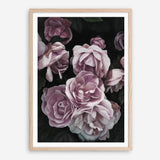 Shop Dusty Pink Roses Art Print a floral themed painted wall art print from The Print Emporium wall artwork collection - Buy Australian made fine art painting style poster and framed prints for the home and your interior decor room, TPE-018-AP