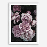 Shop Dusty Pink Roses Art Print a floral themed painted wall art print from The Print Emporium wall artwork collection - Buy Australian made fine art painting style poster and framed prints for the home and your interior decor room, TPE-018-AP