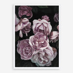 Shop Dusty Pink Roses Art Print a floral themed painted wall art print from The Print Emporium wall artwork collection - Buy Australian made fine art painting style poster and framed prints for the home and your interior decor room, TPE-018-AP