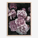 Shop Dusty Pink Roses Art Print a floral themed painted wall art print from The Print Emporium wall artwork collection - Buy Australian made fine art painting style poster and framed prints for the home and your interior decor room, TPE-018-AP