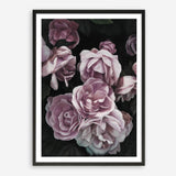 Shop Dusty Pink Roses Art Print a floral themed painted wall art print from The Print Emporium wall artwork collection - Buy Australian made fine art painting style poster and framed prints for the home and your interior decor room, TPE-018-AP