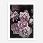 Shop Dusty Pink Roses Art Print a floral themed painted wall art print from The Print Emporium wall artwork collection - Buy Australian made fine art painting style poster and framed prints for the home and your interior decor room, TPE-018-AP