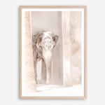 Shop Elephant Steps Photo Art Print a Moroccan desert boho themed photography wall art print from The Print Emporium wall artwork collection - Buy Australian made fine art poster and framed prints for the home and your interior decor room, TPE-1126-AP