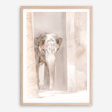 Shop Elephant Steps Photo Art Print a Moroccan desert boho themed photography wall art print from The Print Emporium wall artwork collection - Buy Australian made fine art poster and framed prints for the home and your interior decor room, TPE-1126-AP