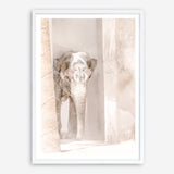 Shop Elephant Steps Photo Art Print a Moroccan desert boho themed photography wall art print from The Print Emporium wall artwork collection - Buy Australian made fine art poster and framed prints for the home and your interior decor room, TPE-1126-AP