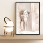 Shop Elephant Steps Photo Art Print a Moroccan desert boho themed photography wall art print from The Print Emporium wall artwork collection - Buy Australian made fine art poster and framed prints for the home and your interior decor room, TPE-1126-AP