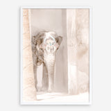 Shop Elephant Steps Photo Art Print a Moroccan desert boho themed photography wall art print from The Print Emporium wall artwork collection - Buy Australian made fine art poster and framed prints for the home and your interior decor room, TPE-1126-AP