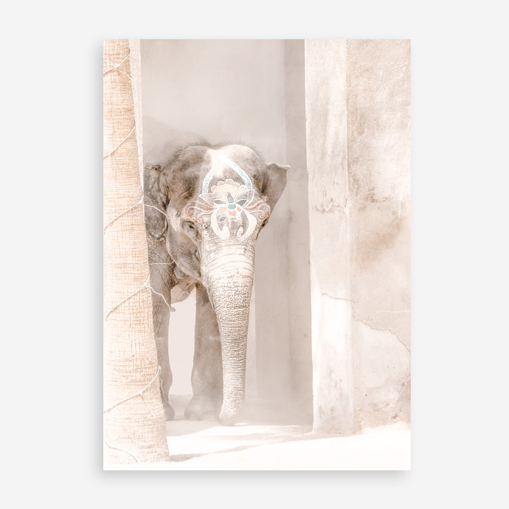 Shop Elephant Steps Photo Art Print a Moroccan desert boho themed photography wall art print from The Print Emporium wall artwork collection - Buy Australian made fine art poster and framed prints for the home and your interior decor room, TPE-1126-AP