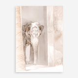 Shop Elephant Steps Photo Art Print a Moroccan desert boho themed photography wall art print from The Print Emporium wall artwork collection - Buy Australian made fine art poster and framed prints for the home and your interior decor room, TPE-1126-AP