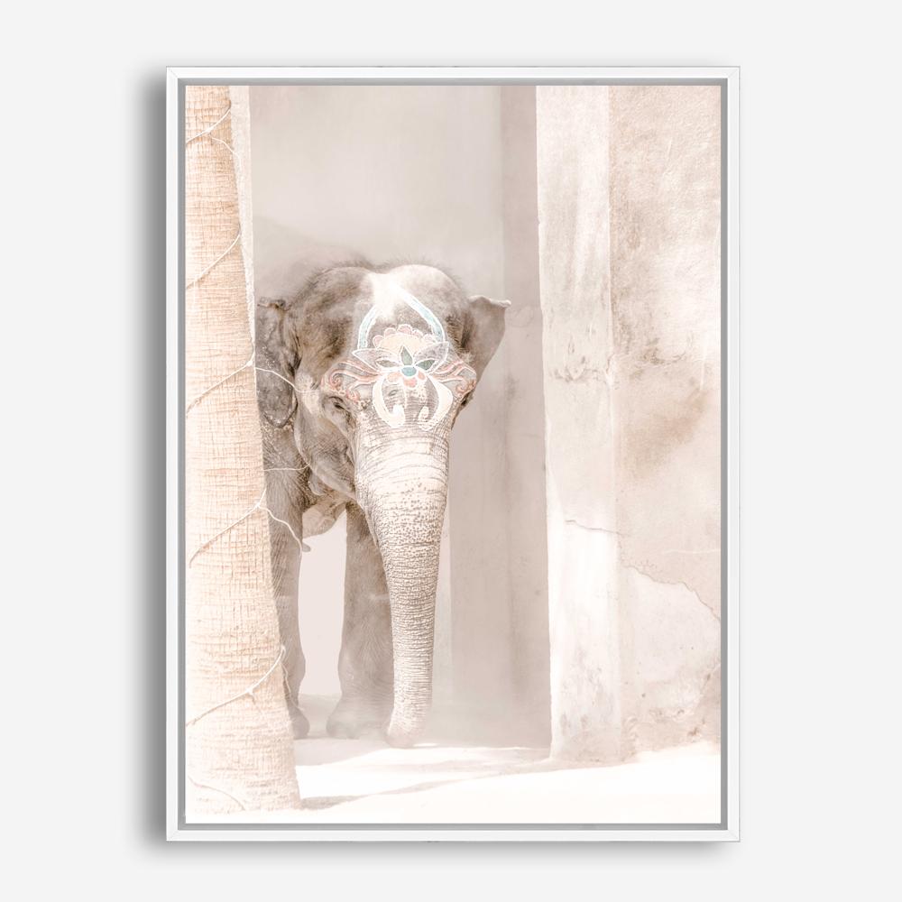Shop Elephant Steps Photo Canvas Print a Moroccan desert boho themed photography framed stretched canvas print from The Print Emporium wall artwork collection - Buy Australian made prints for the home and your interior decor space, TPE-1126-CA-35X46-NF