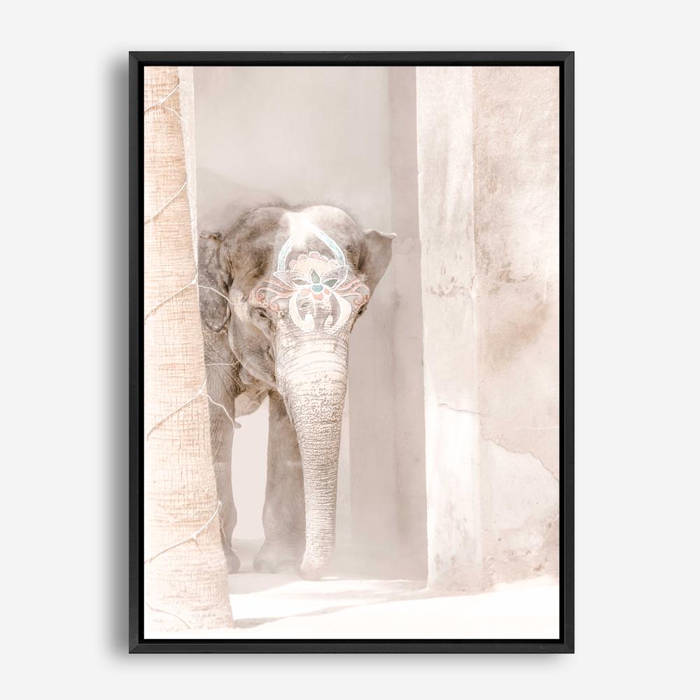 Shop Elephant Steps Photo Canvas Print a Moroccan desert boho themed photography framed stretched canvas print from The Print Emporium wall artwork collection - Buy Australian made prints for the home and your interior decor space, TPE-1126-CA-35X46-NF