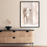 Shop Elephant Steps Photo Canvas Print a Moroccan desert boho themed photography framed stretched canvas print from The Print Emporium wall artwork collection - Buy Australian made prints for the home and your interior decor space, TPE-1126-CA-35X46-NF