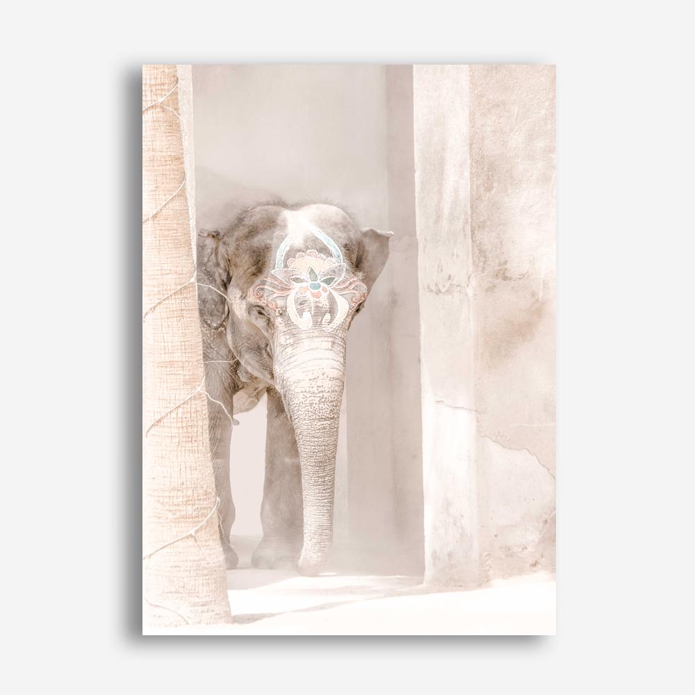 Shop Elephant Steps Photo Canvas Print a Moroccan desert boho themed photography framed stretched canvas print from The Print Emporium wall artwork collection - Buy Australian made prints for the home and your interior decor space, TPE-1126-CA-35X46-NF