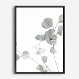 Shop Eucalyptus I Photo Canvas Print a photography framed stretched canvas print from The Print Emporium wall artwork collection - Buy Australian made prints for the home and your interior decor space, TPE-623-CA-35X46-NF