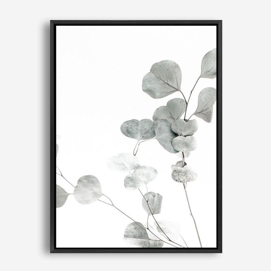 Shop Eucalyptus I Photo Canvas Print a photography framed stretched canvas print from The Print Emporium wall artwork collection - Buy Australian made prints for the home and your interior decor space, TPE-623-CA-35X46-NF