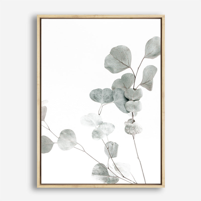 Shop Eucalyptus I Photo Canvas Print a photography framed stretched canvas print from The Print Emporium wall artwork collection - Buy Australian made prints for the home and your interior decor space, TPE-623-CA-35X46-NF