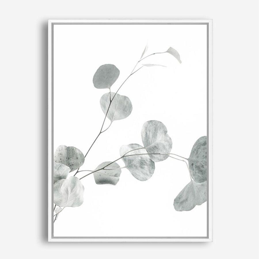 Shop Eucalyptus II Photo Canvas Print a photography framed stretched canvas print from The Print Emporium wall artwork collection - Buy Australian made prints for the home and your interior decor space, TPE-624-CA-35X46-NF