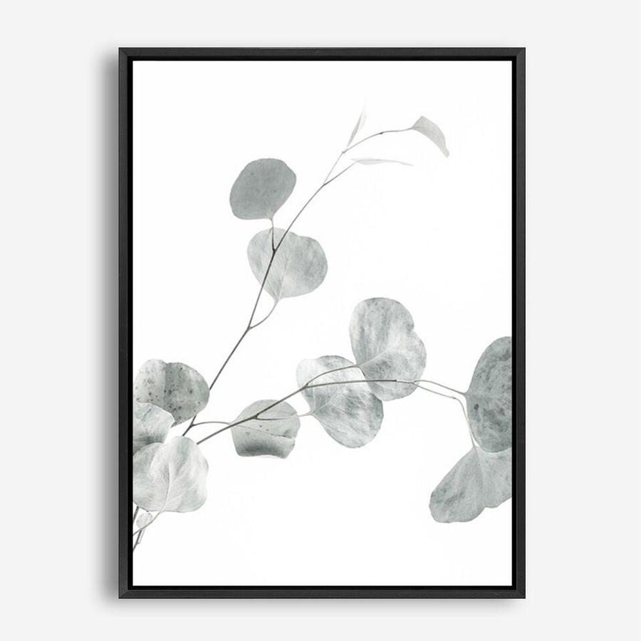 Shop Eucalyptus II Photo Canvas Print a photography framed stretched canvas print from The Print Emporium wall artwork collection - Buy Australian made prints for the home and your interior decor space, TPE-624-CA-35X46-NF