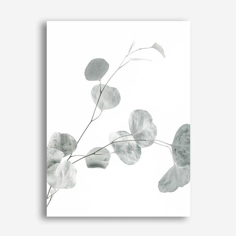 Shop Eucalyptus II Photo Canvas Print a photography framed stretched canvas print from The Print Emporium wall artwork collection - Buy Australian made prints for the home and your interior decor space, TPE-624-CA-35X46-NF