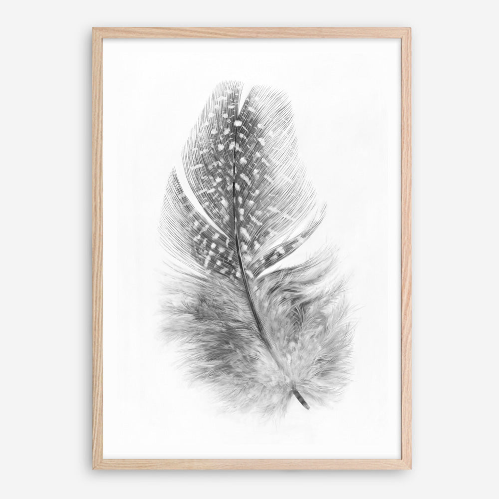 Shop Feather Art Print a painted bird themed wall art print from The Print Emporium wall artwork collection - Buy Australian made fine art painting style poster and framed prints for the home and your interior decor room, TPE-211-AP