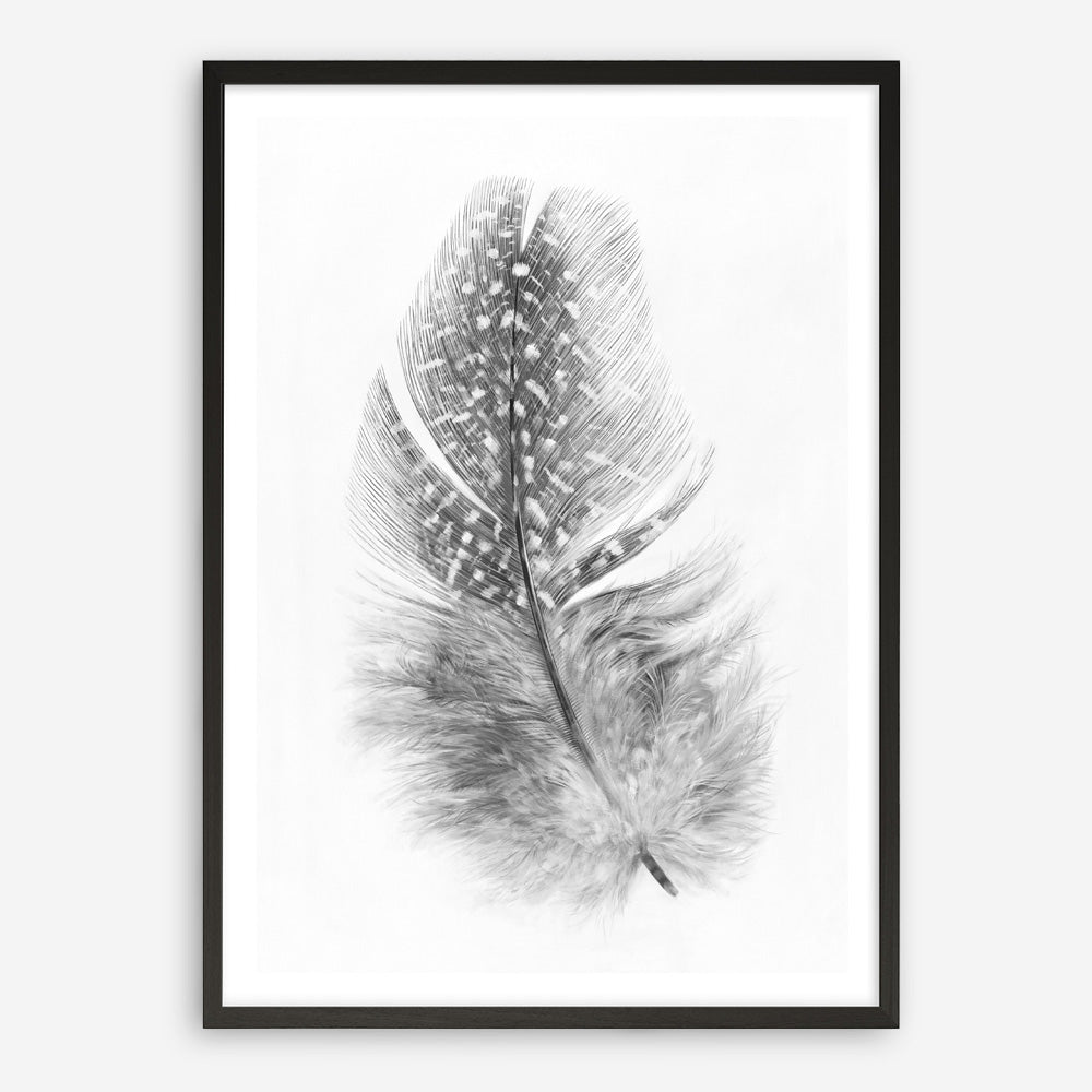 Shop Feather Art Print a painted bird themed wall art print from The Print Emporium wall artwork collection - Buy Australian made fine art painting style poster and framed prints for the home and your interior decor room, TPE-211-AP