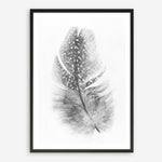 Shop Feather Art Print a painted bird themed wall art print from The Print Emporium wall artwork collection - Buy Australian made fine art painting style poster and framed prints for the home and your interior decor room, TPE-211-AP