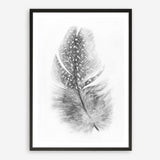 Shop Feather Art Print a painted bird themed wall art print from The Print Emporium wall artwork collection - Buy Australian made fine art painting style poster and framed prints for the home and your interior decor room, TPE-211-AP