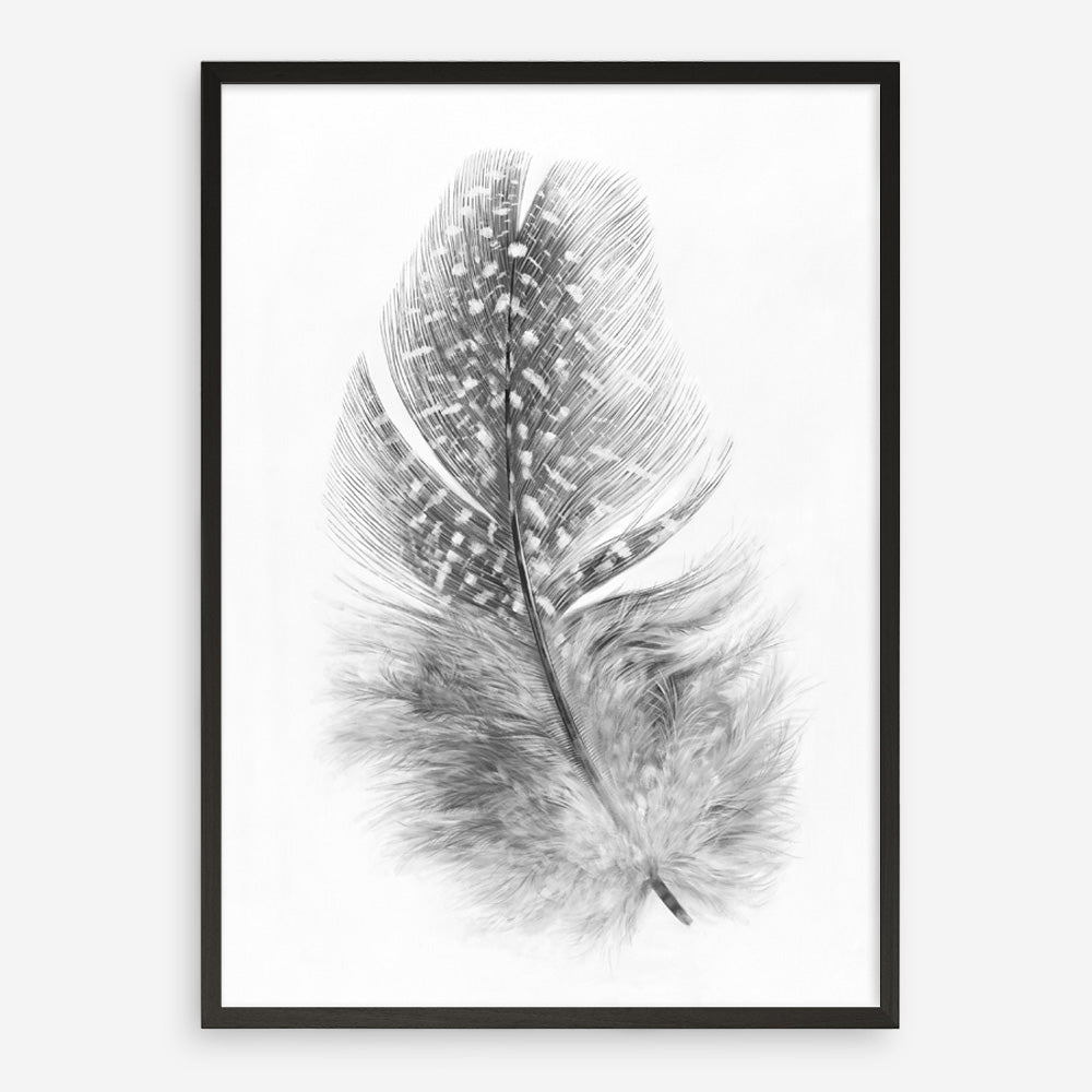 Shop Feather Art Print a painted bird themed wall art print from The Print Emporium wall artwork collection - Buy Australian made fine art painting style poster and framed prints for the home and your interior decor room, TPE-211-AP
