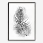 Shop Feather Art Print a painted bird themed wall art print from The Print Emporium wall artwork collection - Buy Australian made fine art painting style poster and framed prints for the home and your interior decor room, TPE-211-AP