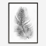 Shop Feather Art Print a painted bird themed wall art print from The Print Emporium wall artwork collection - Buy Australian made fine art painting style poster and framed prints for the home and your interior decor room, TPE-211-AP