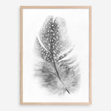 Shop Feather Art Print a painted bird themed wall art print from The Print Emporium wall artwork collection - Buy Australian made fine art painting style poster and framed prints for the home and your interior decor room, TPE-211-AP