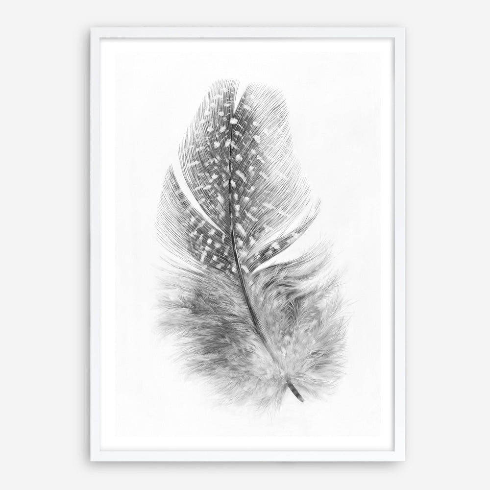 Shop Feather Art Print a painted bird themed wall art print from The Print Emporium wall artwork collection - Buy Australian made fine art painting style poster and framed prints for the home and your interior decor room, TPE-211-AP