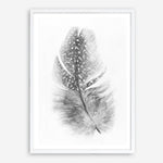 Shop Feather Art Print a painted bird themed wall art print from The Print Emporium wall artwork collection - Buy Australian made fine art painting style poster and framed prints for the home and your interior decor room, TPE-211-AP