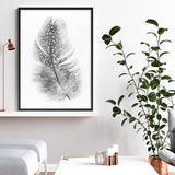 Shop Feather Art Print a painted bird themed wall art print from The Print Emporium wall artwork collection - Buy Australian made fine art painting style poster and framed prints for the home and your interior decor room, TPE-211-AP