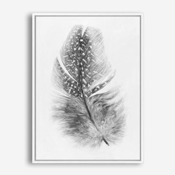 Shop Feather Canvas Print a painted bird themed framed canvas wall art print from The Print Emporium artwork collection - Buy Australian made fine art painting style stretched canvas prints for the home and your interior decor space, TPE-211-CA-35X46-NF