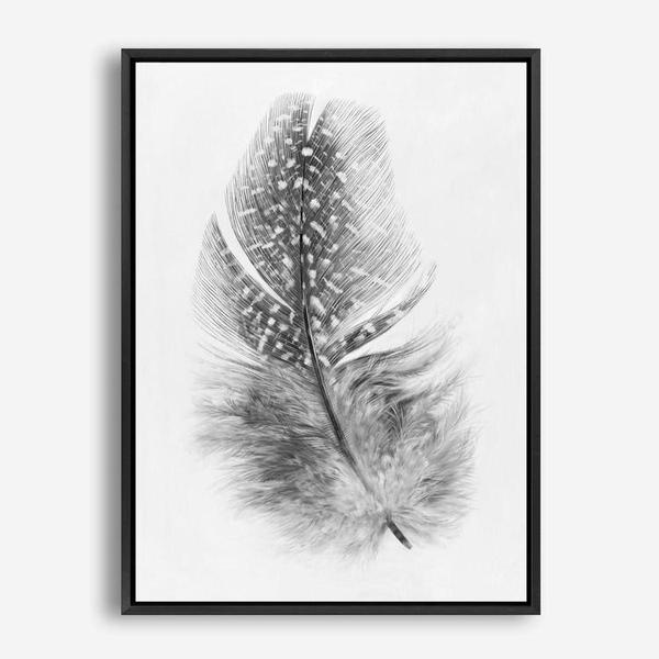 Shop Feather Canvas Print a painted bird themed framed canvas wall art print from The Print Emporium artwork collection - Buy Australian made fine art painting style stretched canvas prints for the home and your interior decor space, TPE-211-CA-35X46-NF