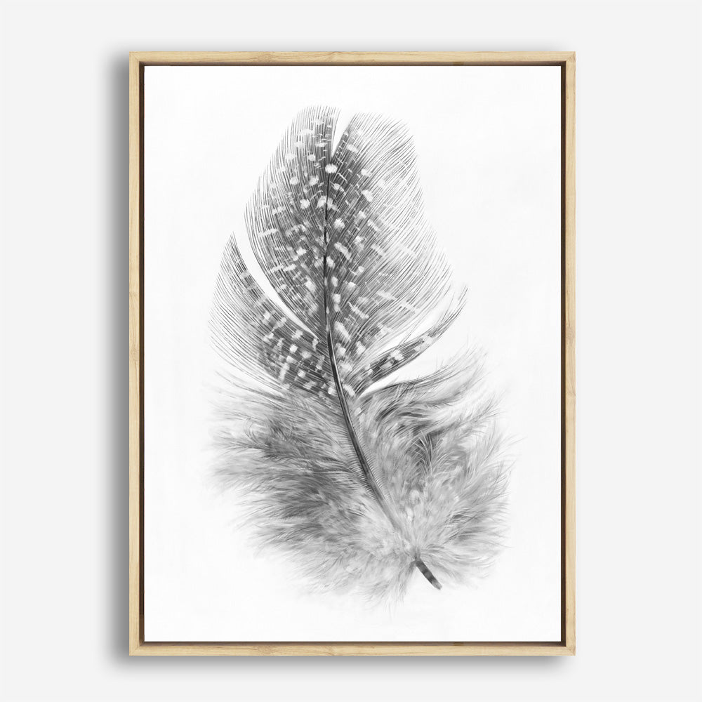 Shop Feather Canvas Print a painted bird themed framed canvas wall art print from The Print Emporium artwork collection - Buy Australian made fine art painting style stretched canvas prints for the home and your interior decor space, TPE-211-CA-35X46-NF