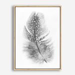 Shop Feather Canvas Print a painted bird themed framed canvas wall art print from The Print Emporium artwork collection - Buy Australian made fine art painting style stretched canvas prints for the home and your interior decor space, TPE-211-CA-35X46-NF