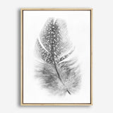 Shop Feather Canvas Print a painted bird themed framed canvas wall art print from The Print Emporium artwork collection - Buy Australian made fine art painting style stretched canvas prints for the home and your interior decor space, TPE-211-CA-35X46-NF