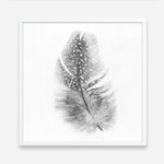 Shop Feather (Square) Art Print a painted bird themed wall art print from The Print Emporium wall artwork collection - Buy Australian made fine art painting style poster and framed prints for the home and your interior decor room, TPE-185-AP
