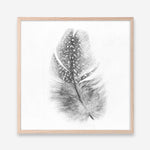 Shop Feather (Square) Art Print a painted bird themed wall art print from The Print Emporium wall artwork collection - Buy Australian made fine art painting style poster and framed prints for the home and your interior decor room, TPE-185-AP