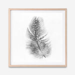 Shop Feather (Square) Art Print a painted bird themed wall art print from The Print Emporium wall artwork collection - Buy Australian made fine art painting style poster and framed prints for the home and your interior decor room, TPE-185-AP