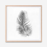 Shop Feather (Square) Art Print a painted bird themed wall art print from The Print Emporium wall artwork collection - Buy Australian made fine art painting style poster and framed prints for the home and your interior decor room, TPE-185-AP